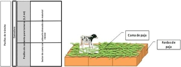 Aspectos a considerar en la construcción de ternereras - Image 5