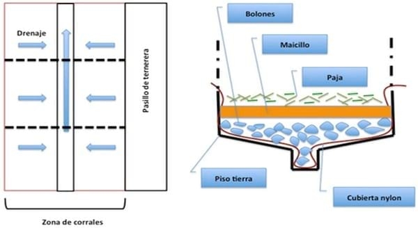 Aspectos a considerar en la construcción de ternereras - Image 4