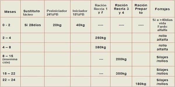Manejo y alimentación de terneras y vaquillonas. Impacto sobre la eficiencia de la producción láctea. - Image 4