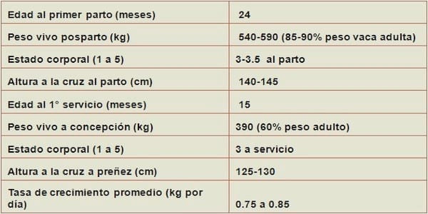Manejo y alimentación de terneras y vaquillonas. Impacto sobre la eficiencia de la producción láctea. - Image 1