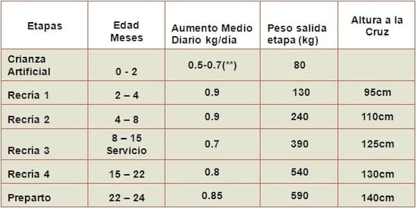 Manejo y alimentación de terneras y vaquillonas. Impacto sobre la eficiencia de la producción láctea. - Image 2
