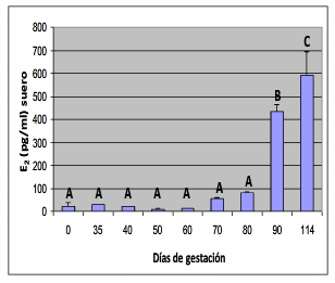 Estrógenos e inmunoglobulinas G asimetricas en muestras de suero sanguíneo en distintos períodos de la gestación porcina - Image 2