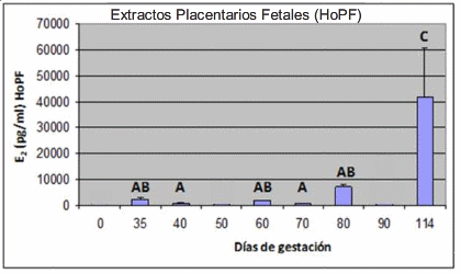 Estrógenos y expresión de la integrina avb3 y fibronectina en la interfase fetoplacentaria durante la gestación porcina - Image 3