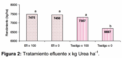 Evaluación de efluentes porcinos en la producción de maíz - Image 4