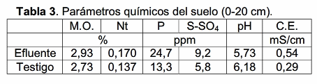 Evaluación de efluentes porcinos en la producción de maíz - Image 5