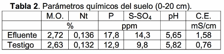Evaluación de efluentes porcinos en la producción de maíz - Image 2