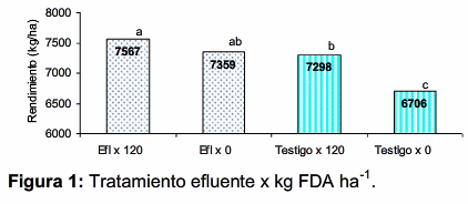 Evaluación de efluentes porcinos en la producción de maíz - Image 3