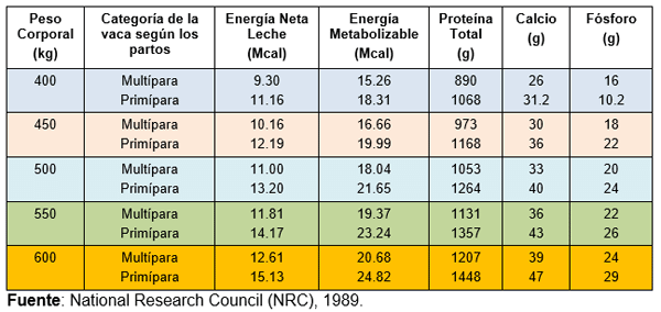 Medidas del manejo integral durante la gestación, el preparto y el parto en la novilla tipo leche para su bienestar y desarrollo corporal ideal en el trópico - Image 10