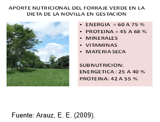 Medidas del manejo integral durante la gestación, el preparto y el parto en la novilla tipo leche para su bienestar y desarrollo corporal ideal en el trópico - Image 11
