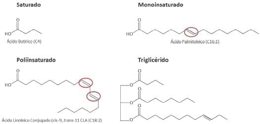 Perfil de ácidos grasos de la leche de vaca y productos lácteos - Image 1