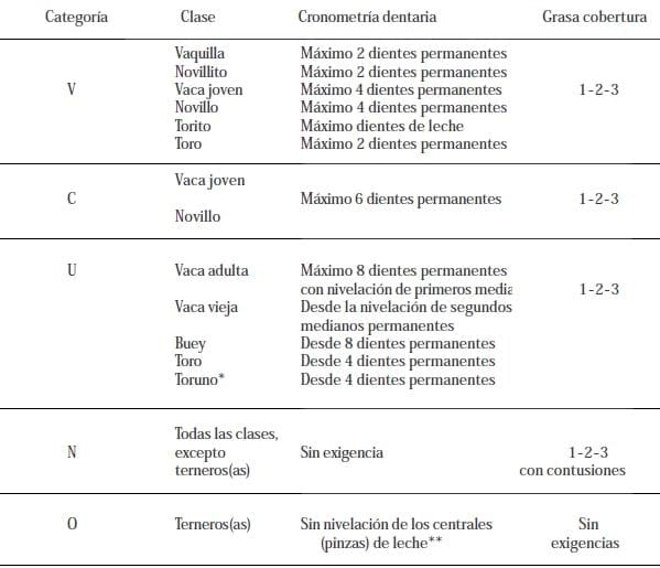 Evaluación de la condición corporal de para el engorde de vacas lecheras de descarte - Image 1