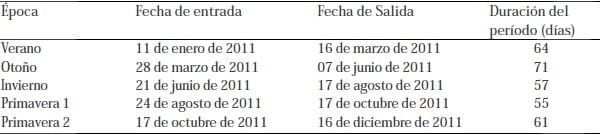 Unidad de negocio permanente a través de modelos de engorda de vacas excedentes de rebaños lecheros - Image 6