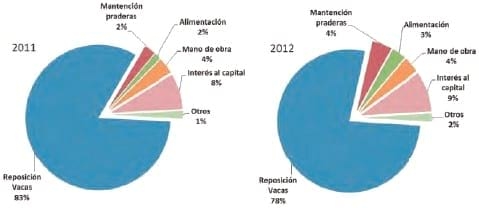 Unidad de negocio permanente a través de modelos de engorda de vacas excedentes de rebaños lecheros - Image 27