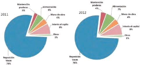 Unidad de negocio permanente a través de modelos de engorda de vacas excedentes de rebaños lecheros - Image 28