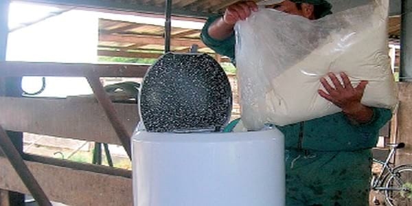 Desarrollo de modelos de negocio para generar carne para exportación a partir de machos de lechería - Image 5