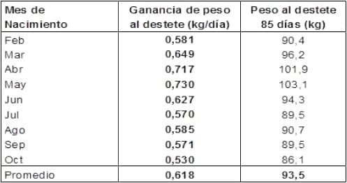 Desarrollo de modelos de negocio para generar carne para exportación a partir de machos de lechería - Image 10
