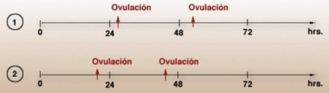 Efecto de la luz sobre el comportamiento y la actividad reproductiva en gallinas - Image 3