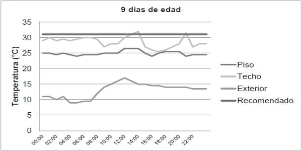 Manejo de temperatura ambiental y calidad de aire, su influencia en líneas de pollo de engorde: Una revisión - Image 1