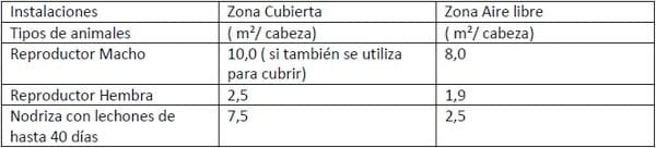 La Producción Porcina Ecológica, una posible solución a futuro - Image 5
