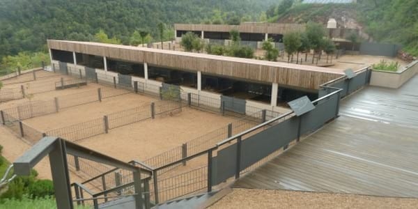 La Producción Porcina Ecológica, una posible solución a futuro - Image 4
