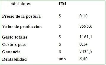 Alternativa para el manejo de produccion de postura de tomate en cepellon, mediante el uso de biofertilizante - Image 3