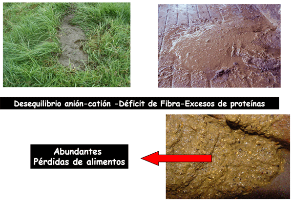 Inversión de sólidos en leche - Image 22