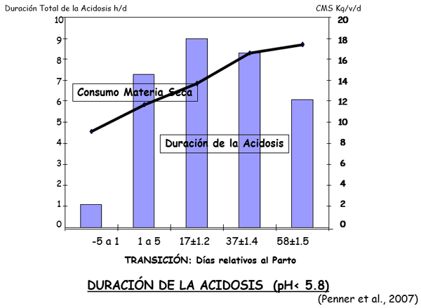 Inversión de sólidos en leche - Image 16