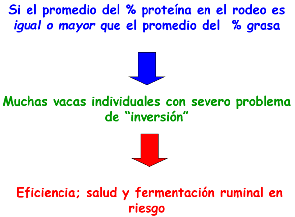 Inversión de sólidos en leche - Image 2