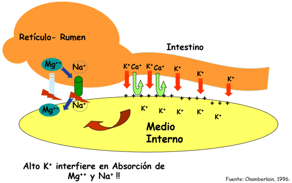Inversión de sólidos en leche - Image 14