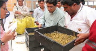 Inversión de sólidos en leche - Image 23