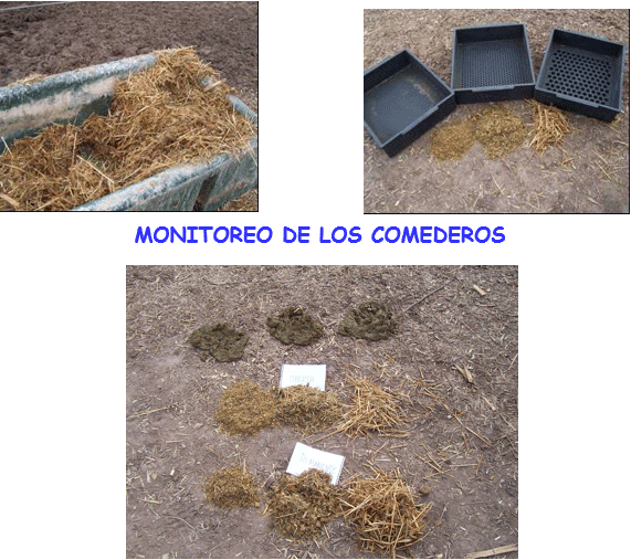 Inversión de sólidos en leche - Image 24