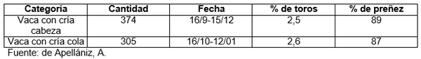 Evaluación de toros: los toros que “trabajan”, prestan servicio - Image 13