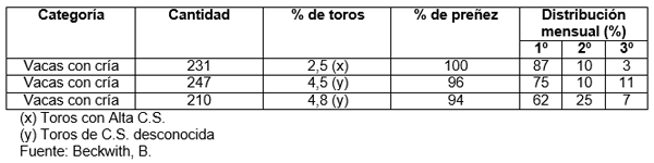 Evaluación de toros: los toros que “trabajan”, prestan servicio - Image 11