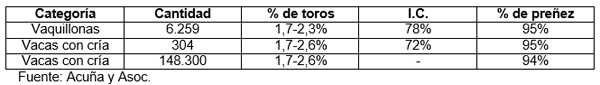Evaluación de toros: los toros que “trabajan”, prestan servicio - Image 9