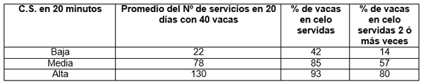 Evaluación de toros: los toros que “trabajan”, prestan servicio - Image 4