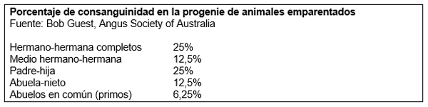 Selección de reproductores por eficiencia funcional - Image 2
