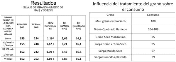 Puesta al día en sorgos que se renuevan y compiten - Image 15