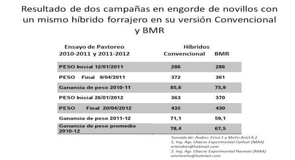 Puesta al día en sorgos que se renuevan y compiten - Image 10