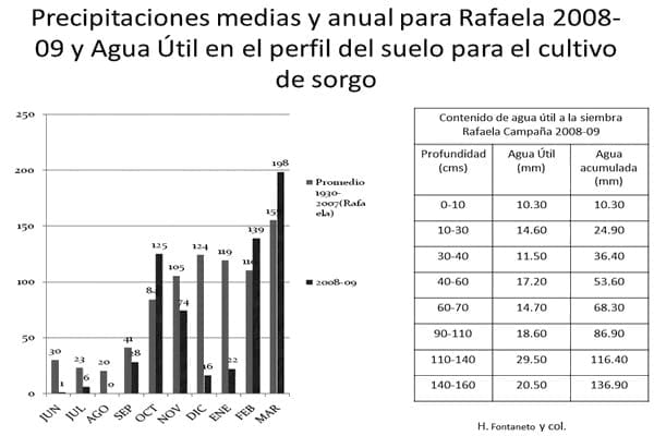 Puesta al día en sorgos que se renuevan y compiten - Image 8
