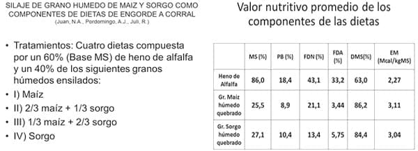 Puesta al día en sorgos que se renuevan y compiten - Image 14