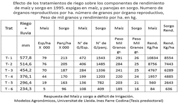 Puesta al día en sorgos que se renuevan y compiten - Image 4