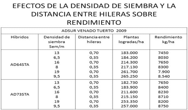 Puesta al día en sorgos que se renuevan y compiten - Image 6