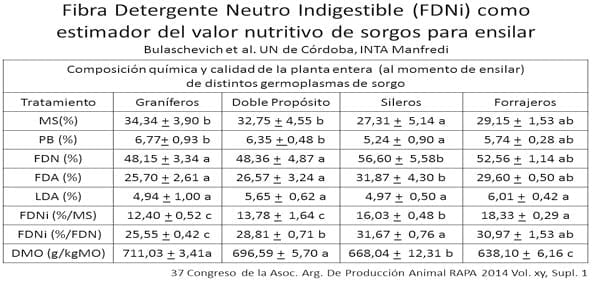 Puesta al día en sorgos que se renuevan y compiten - Image 20