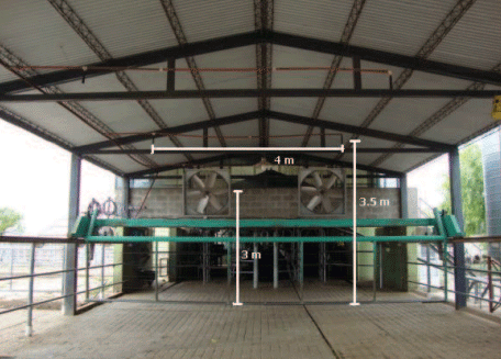 Estrés calórico. Enfriamiento de vacas mediante la combinación de mojado y ventilación forzada. - Image 2