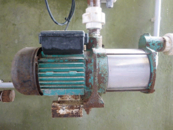 Estrés calórico. Enfriamiento de vacas mediante la combinación de mojado y ventilación forzada. - Image 9