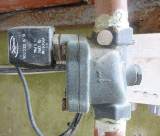 Estrés calórico. Enfriamiento de vacas mediante la combinación de mojado y ventilación forzada. - Image 10