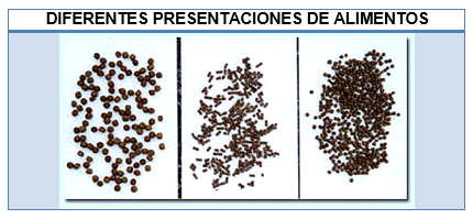 Panorama sobre los alimentos balanceados para acuicultura en México, en comparación con otros países - Image 1