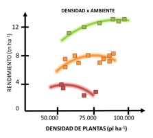Manejo del cultivo de maíz en ambientes marginales - Image 3
