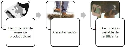 Aumentos de producción y ajuste de fertilización mediante la aplicación de agricultura de precisión en trigo - Image 3