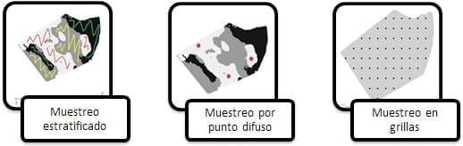Aumentos de producción y ajuste de fertilización mediante la aplicación de agricultura de precisión en trigo - Image 4